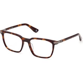 BMW BW5057-H 053 53 Briller Mænd Tortoiseshell - Blonde Tortoise - 53mm