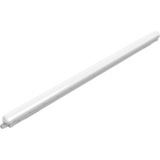Philips - Projectline vandtæt TW NW 120 cm4000lm