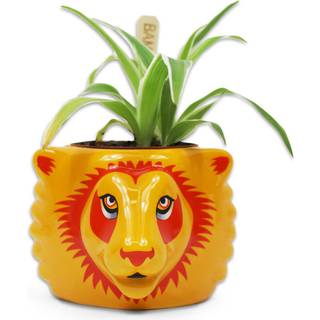 HARRY POTTER - Gryffindor - Plant Pot