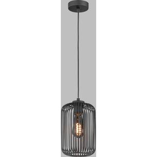 Schöner Wohnen Cage hængelampe Cage-skærm Ø 16 cm