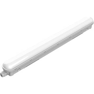 Philips Projectline Waterproof LED-armatur 60 cm, 4000 K, 2000 lm, hvid
