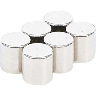 BGS Magnetsæt Ø9,5mm, 10mm tyk. 6 stk