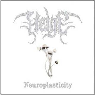 Helge - Neuroplasticity