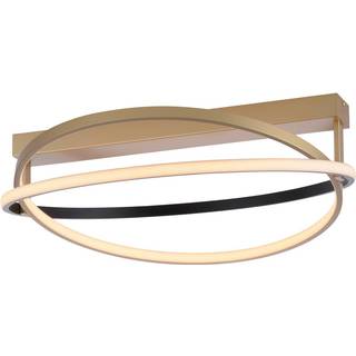 Paul Neuhaus Q-Beluga LED-loftlampe, messing