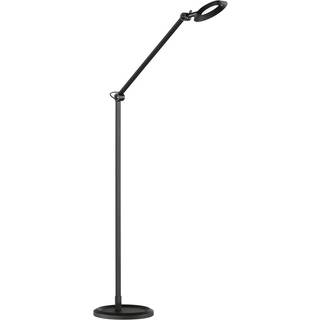 Schöner Wohnen Office LED-gulvlampe, matsort