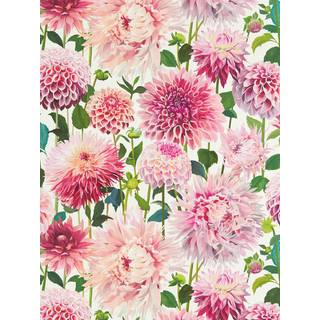 Dahlia Blossom/Emerald/New Beginnings - HQN2112843