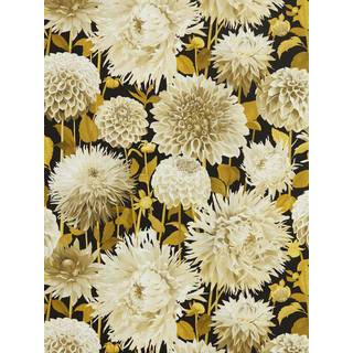 Dahlia Fig Blossom/Nectar/Black Earth - HQN2112846