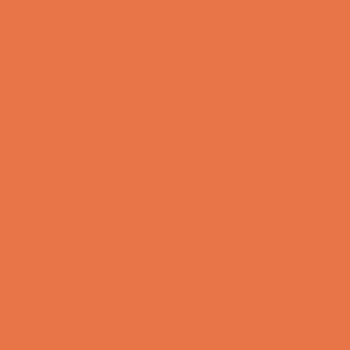 Rako Orange Blank Væg 148x148 mm