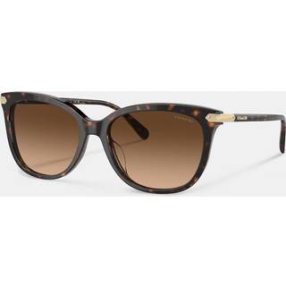Coach HC8378U CL926 512074 57 Solbriller Kvinder Tortoiseshell - Dark Tortoise - 57mm