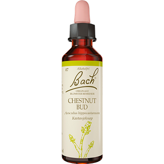 Bach Kastanieknop - 10 ml