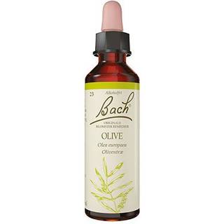 Bach Oliven - 10 ml