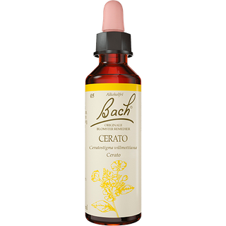 Bach Cerato - 10 ml