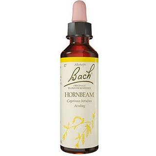 Bach Avnbøg - 10 ml
