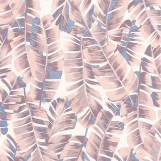 Botanica Folium Rose Poudre - BOTA85944167