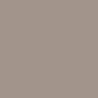 Rako Mørk Beige Blank Vægfl. 148x148 mm