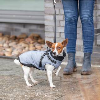 Trixie - Pontis Vinterjakke m. hundesele - Grå - S: 36 cm