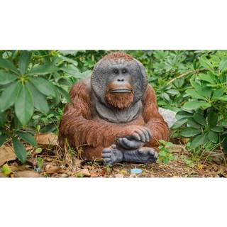 Hi-Line Gift 87720-B Siddende orangutang-statue - Finurlig polyresin boligdekoration-figur