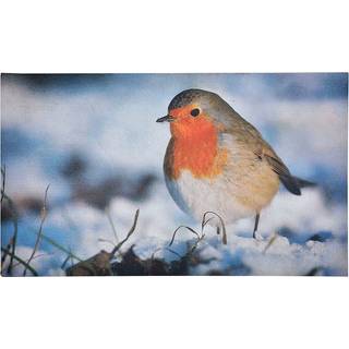Fußmatte Rotkehlchen Fussabtreter Vogel-Motiv Gummi Fussmatte 75x45cm