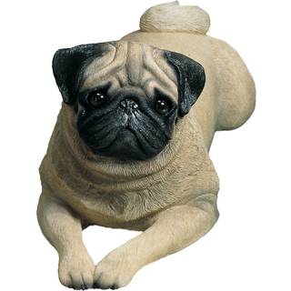 Sandicast Livsstørrelse Fawn Pug Sculpture Liging