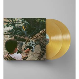 Unknown Mortal Orchestra - V