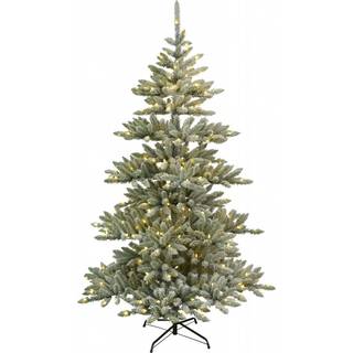 Star Trading - Arvika 210cm - Juletræ