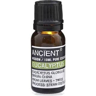 Eukalyptus æterisk olie (eucalyptus), 10ml