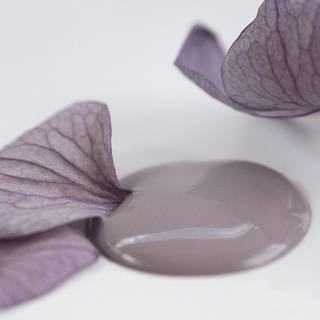 Delightful Plum kalkmaling