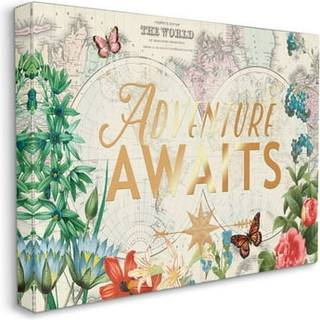 Stupell Industries Adventure venter p? Globe Map Flower Word Design af Ophelia and Company Wall Art 16 X 20 Canvas