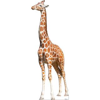 Kartongfolk Giraff Life Size Cardboard Cutout Standup