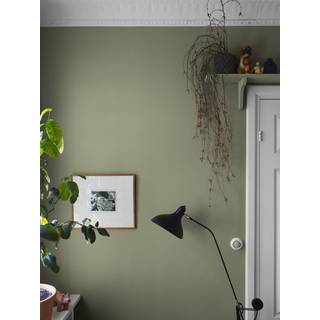 Olivine Sand - 7582