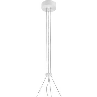 Luna Wire Kit - Luna Wire Kit - White