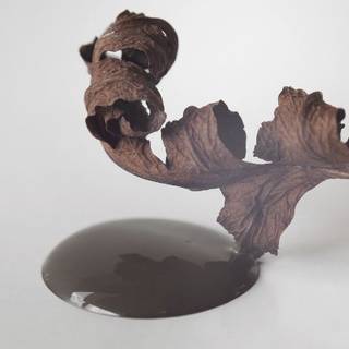 Chokolate Brown kalkmaling