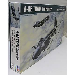 A-6E TRAM Intruder