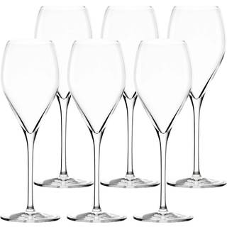 Stölze Prestige champagneglas 210 ml 6 stk.