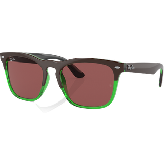 Ray-Ban Steve - RB4487 663469 5418