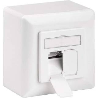 CAT 6 universal Vægsplade inkl. vægmonteringsramme hvid