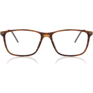 SmartBuy Collection Regent AC24 54 Briller Mænd Tortoiseshell - Tortoise - 54mm