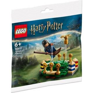30651 - Quidditch-træning