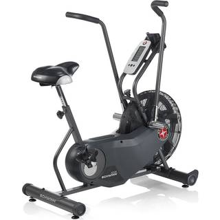 Schwinn Airdyne AD6i