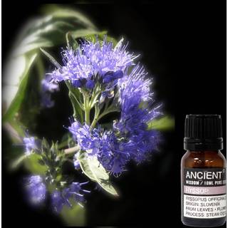 Hyssop æterisk olie, 10ml