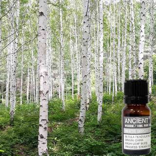 Sød birk æterisk olie (sweet birch), 10ml