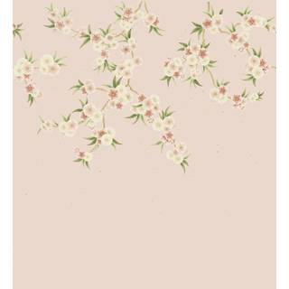 Rosa - HDHW112887