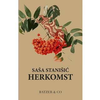 Sasa Stanisic - Herkomst