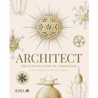 Architect: The evolving story of a profession