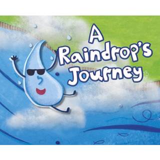 A Raindrop's Journey