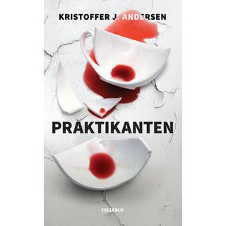 Praktikanten (E-bog)