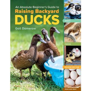 An Absolute Beginner's Guide to Raising Backyard Ducks