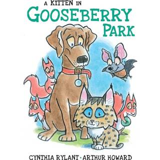 Kitten in Gooseberry Park