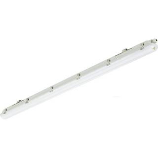 Philips LED Vandtæt Lysrender Ledinaire WT065C 30/53W 4100/6800lm - 840 Kold Hvid | 150cm