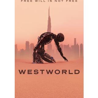 WESTWORLD SEASON 3 (DVD)